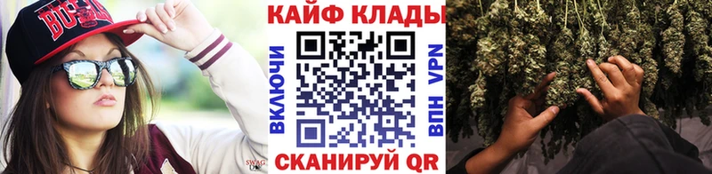 Виды наркоты Светлогорск Каннабис  Alpha PVP  ГАШИШ  Меф мяу мяу 
