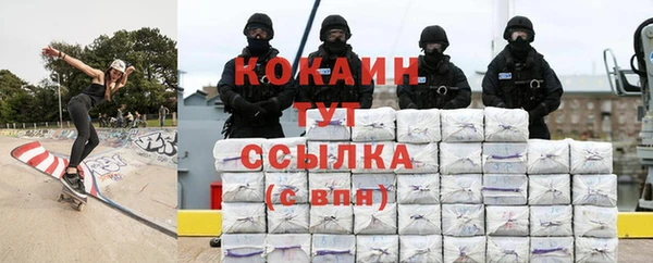 винт Ельня