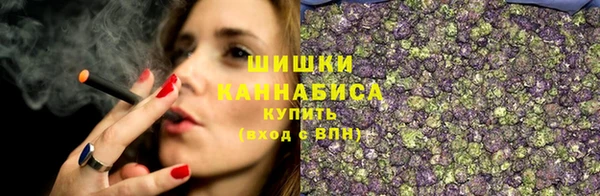 дурь Елабуга