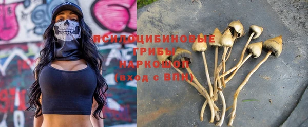 дурь Елабуга