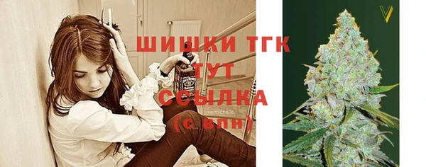 Альфа ПВП Елизово