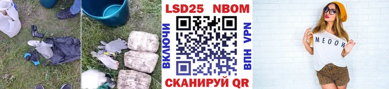 закладка  Светлогорск  ЛСД экстази ecstasy 