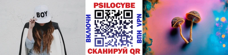 купить   Светлогорск  сайты даркнета какой сайт  Галлюциногенные грибы Psilocybine cubensis 